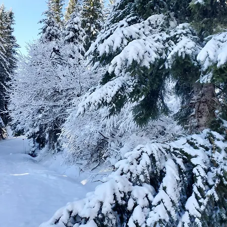 شقة Bel Spacieux 44m² A Pour 6 Personnes سوبر بيس